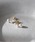 SIENA ROSE�i�V�G�i���[�j�́u�X���[�p�[����10���s�A�X�i�s�A�X�i�����p�j�j�v�b�C�G���[�S�[���h