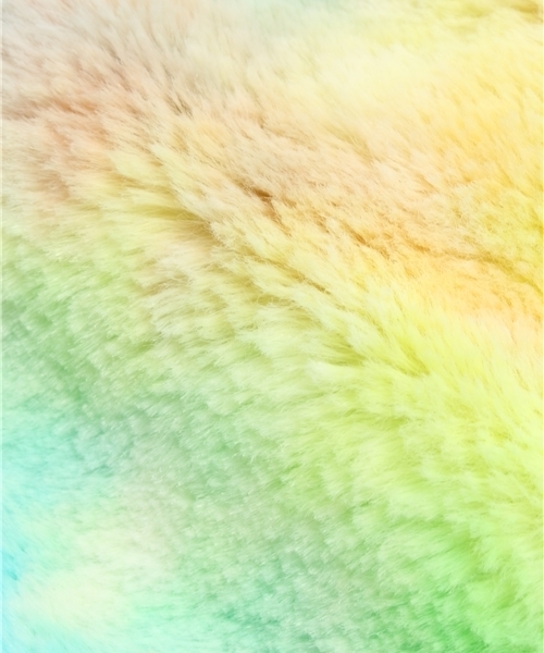 WEGO(ウィゴー)の「WEGO/レインボーファークラッチバッグ(クラッチバッグ・レディース・その他1・FREE)」の5枚目の写真