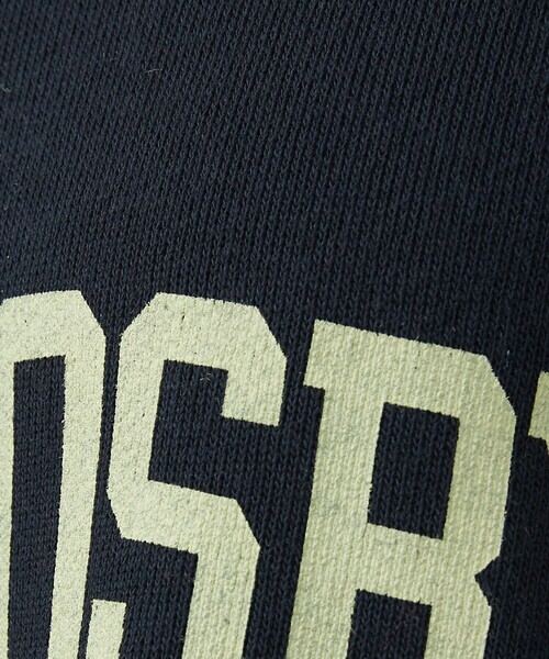 FREAK'S STORE（フリークスストア）の「▽【WEB限定】Gerry Cosby×FREAK'S STORE/ジェリー・コスビー　別注Cosbyカレッジロゴスウェット（スウェット・レディース・グレー/ブラック/パープル/イエロー/グリーン・ﾌﾘ-）」の19枚目の写真