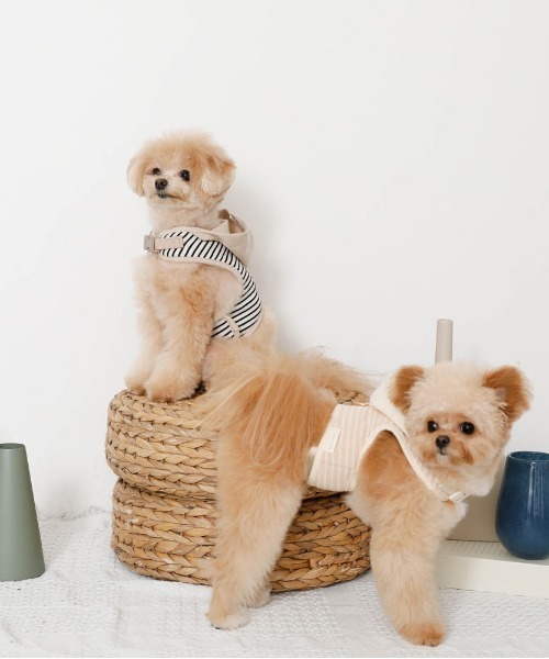 MINIME♡ハーネス&リード 犬用ハーネス 負担が少ない 着脱簡単 革