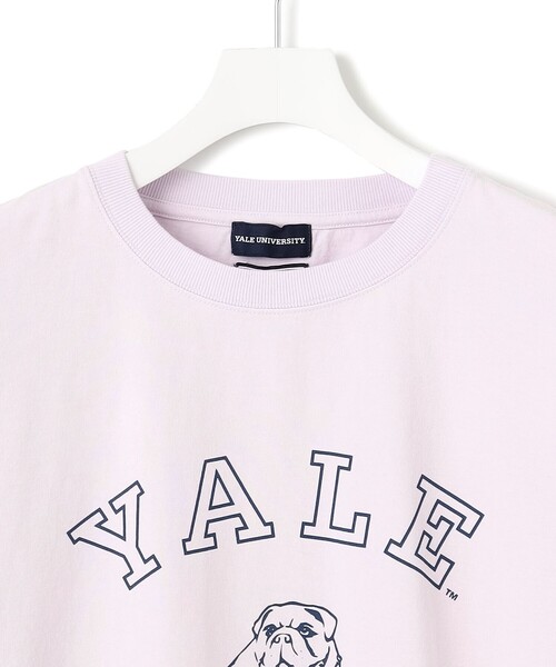 J.PRESS YORK STREET(ジェイプレスヨークストリート)の「【UNISEX】YALEブルドックプリント Tシャツ(Tシャツ/カットソー・メンズ・ホワイト系/ネイビー系/ライラック系・SMALL/MEDIUM/LARGE)」の19枚目の写真