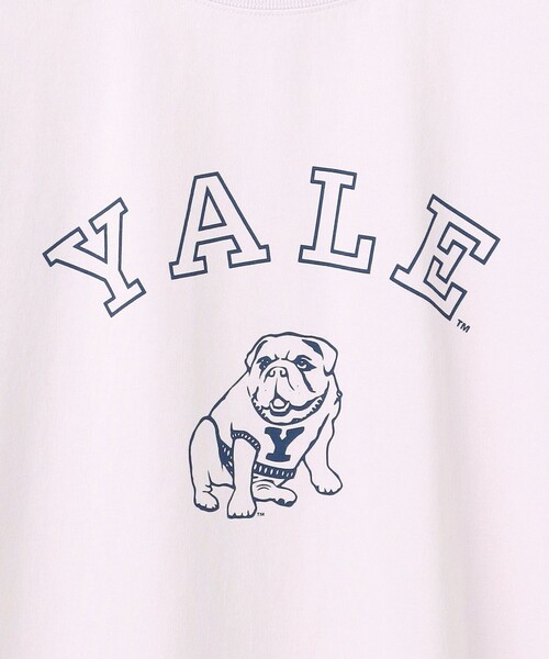 J.PRESS YORK STREET(ジェイプレスヨークストリート)の「【UNISEX】YALEブルドックプリント Tシャツ(Tシャツ/カットソー・メンズ・ホワイト系/ネイビー系/ライラック系・SMALL/MEDIUM/LARGE)」の22枚目の写真