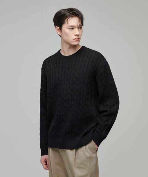 MUSINSA STANDARD(ムシンサスタンダード)の「ケーブルクルーネックニット【ブラック】(ニット/セーター・メンズ・その他・SMALL/MEDIUM/LARGE/X-LARGE/XX-LARGE)」の1枚目の写真