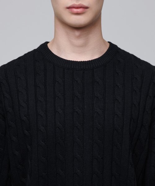 MUSINSA STANDARD(ムシンサスタンダード)の「ケーブルクルーネックニット【ブラック】(ニット/セーター・メンズ・その他・SMALL/MEDIUM/LARGE/X-LARGE/XX-LARGE)」の10枚目の写真