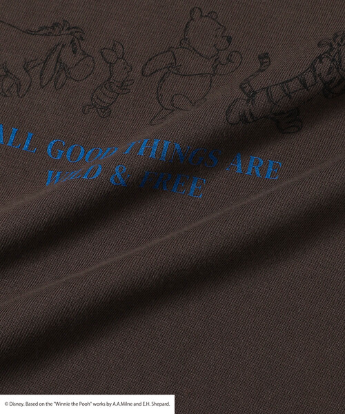 Firsthand（ファーストハンド）の「Firsthand/ファーストハンド 【Winnie-the-Pooh / くまのプーさん】フロントロゴ プリントTシャツ（Tシャツ/カットソー・レディース・オフホワイト/ダークブラウン・ﾌﾘ-）」の18枚目の写真