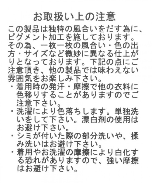 BAYFLOW（ベイフロー）の「ピグメントロゴ S/S ＴEE（Tシャツ/カットソー・メンズ・ピンク/サックスブルー/ベージュ/ホワイト・MEDIUM/SMALL/LARGE）」の18枚目の写真