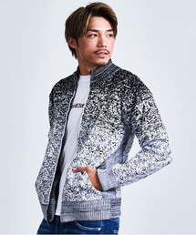 VIOLA（ヴィオラ）の「『VIOLA rumore/ヴィオラ ルモーレ』グラデーションZIPUPセーター（ニット/セーター）」