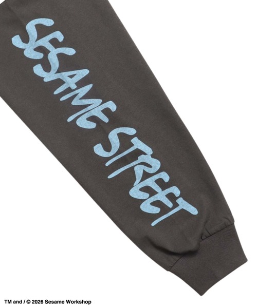 Ha-Li-C STORE(ハリックストア)の「【セサミストリート】袖プリントロンT(Tシャツ/カットソー・メンズ・オフホワイト/ライトブルー/チャコールグレー/ピンク・X-LARGE/LARGE/MEDIUM)」の21枚目の写真