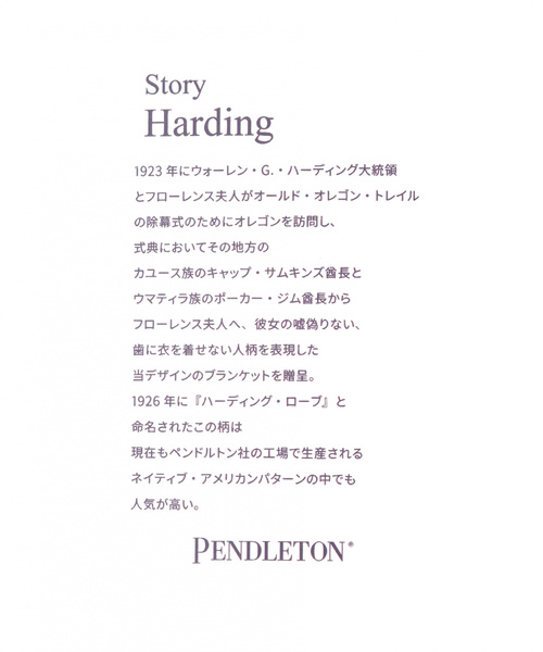 PENDLETON（ペンドルトン）の「【PENDLETON(ペンドルトン)】別注カーディガン（カーディガン/ボレロ・メンズ・ブルー/グレー・LARGE/MEDIUM）」の19枚目の写真