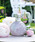 Ashleigh&BurwoodiAVCAho[Ebhj́uqAshleigh&Burwood/AVCo[EbhrtOXv STCYiSiNCERE胁bZ[WJ[htji[tOX/jvbF