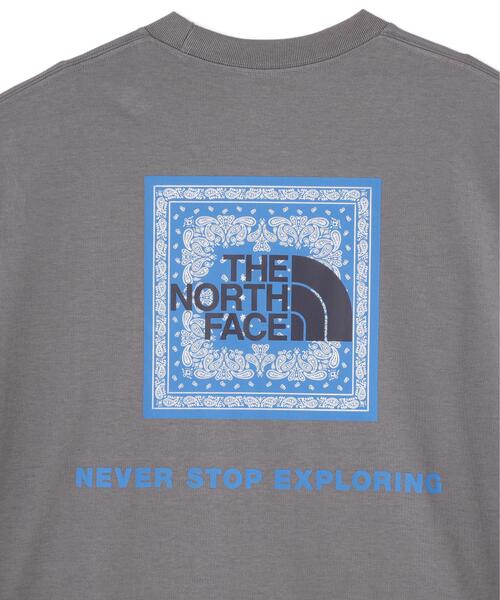 THE NORTH FACE(ザノースフェイス)の「THE NORTH FACE/ザ・ノース・フェイス S/S Bandana Square Logo Tee バンダナスクエアロゴティー NT32446(Tシャツ/カットソー・メンズ・ブラック/ホワイト/チャコールグレー/ダークグレー・L/M/XL)」の13枚目の写真