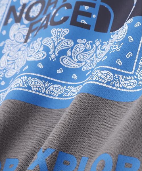 THE NORTH FACE(ザノースフェイス)の「THE NORTH FACE/ザ・ノース・フェイス S/S Bandana Square Logo Tee バンダナスクエアロゴティー NT32446(Tシャツ/カットソー・メンズ・ブラック/ホワイト/チャコールグレー/ダークグレー・L/M/XL)」の14枚目の写真