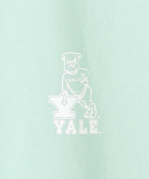 J.PRESS YORK STREET（ジェイプレスヨークストリート）の「【UNISEX】YALEバックプリント Tシャツ（Tシャツ/カットソー・メンズ・ホワイト系/ライトグリーン系/ネイビー系・SMALL/MEDIUM/LARGE）」の16枚目の写真