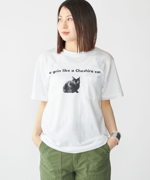 セール】【WEB限定/SHIPS別注】Regency Works: キャット