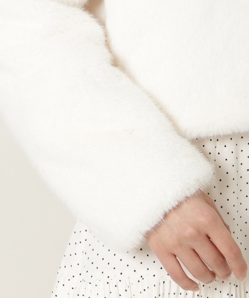 WILLSELECTION（ウィルセレクション）の「ステンカラーエコファーショートジャケット（ブルゾン・レディース・オフホワイト/モカ/ベージュ・FREE）」の21枚目の写真