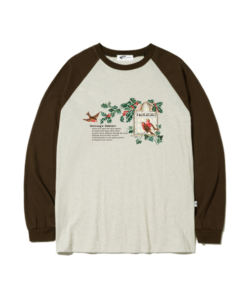 PAGESIISII(ページシシ)の「バードモーニングプリントオーバーサイズロングスリーブブラウン(Tシャツ/カットソー・レディース・その他・MEDIUM/LARGE)」の1枚目の写真