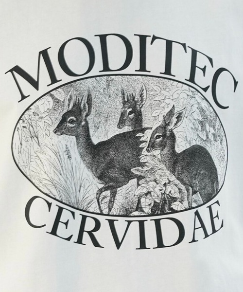 MODITEC(モディテック)の「【MODITEC/モディテック】CERVIDAE TEE/アニマル プリント グラフィック デザイン ロゴ 半袖Tシャツ(Tシャツ/カットソー・メンズ・ホワイト・M/L)」の7枚目の写真