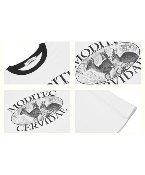MODITEC(モディテック)の「【MODITEC/モディテック】CERVIDAE TEE/アニマル プリント グラフィック デザイン ロゴ 半袖Tシャツ(Tシャツ/カットソー・メンズ・ホワイト・M/L)」の8枚目の写真