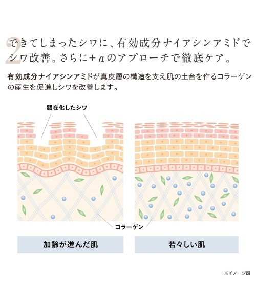 ETVOS（エトヴォス）の「薬用 リンクルセラム 【医薬部外品】（美容液/オイル/クリーム・レディース・その他・FREE）」の10枚目の写真