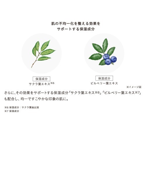 ETVOS（エトヴォス）の「薬用 リンクルセラム 【医薬部外品】（美容液/オイル/クリーム・レディース・その他・FREE）」の6枚目の写真