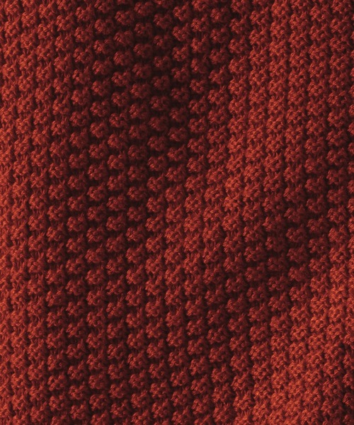 epnok（エプノック）の「ダブルジップ鹿の子ニットベスト（ベスト・メンズ・レッド/チャコールグレー・SMALL/MEDIUM/LARGE）」の14枚目の写真