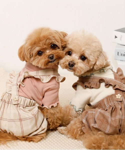 moncheri かぼちゃパンツ ニット　犬　服 キルティングかぼちゃパンツ – moncheri