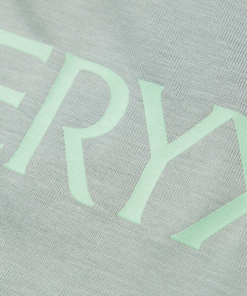 ARC&#39;TERYX - 未使用タグ付き✨ アークテリクス オッシュマンズ Tシャツ ヴィンテージ 緑色 2020年版】アークテリクスおすすめTシャツを紹介 | WEST WEB