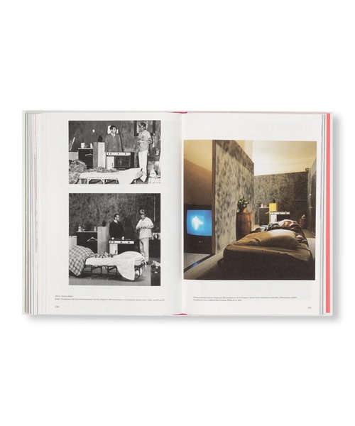 VILLA BOOKS（ヴィラ ブックス）の「GHOST AND SPIRIT by Mike Kelley [SOFTCOVER]（本・メンズ・その他・FREE）」の17枚目の写真