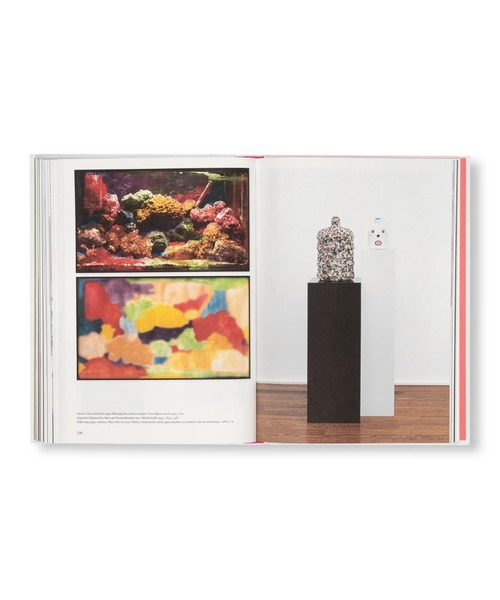 VILLA BOOKS（ヴィラ ブックス）の「GHOST AND SPIRIT by Mike Kelley [SOFTCOVER]（本・メンズ・その他・FREE）」の16枚目の写真