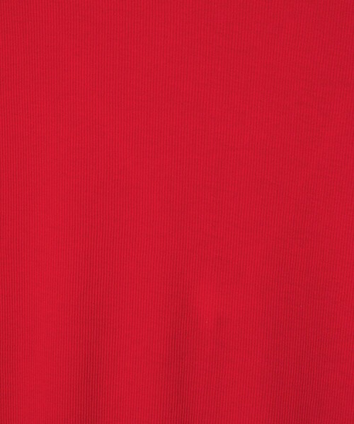 EMMEL REFINES(エメルリファインズ)の「<EMMEL REFINES>EM テレコ ボートネック プルオーバー(Tシャツ/カットソー・レディース・レッド/ライトブルー/ホワイト/その他1・FREE)」の21枚目の写真