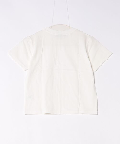 Didot.showroom（ディドット ショールーム）の「ストレッチコンパクトT（Tシャツ/カットソー・レディース・ブルー/アイボリー/ベビーピンク/グレー・FREE）」の5枚目の写真
