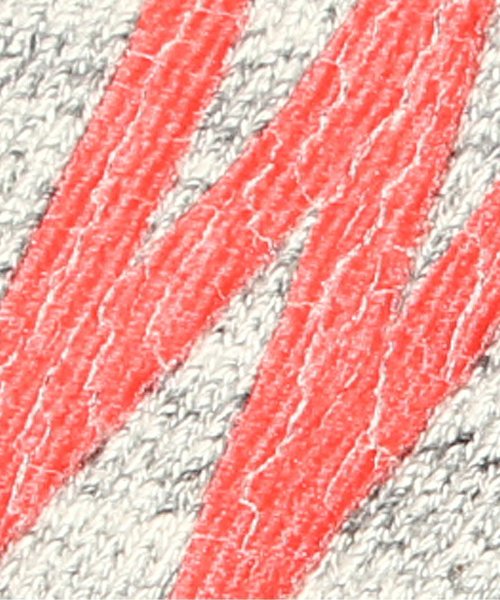 BREEZE（ブリーズ）の「星条旗パーカー（パーカー・キッズ・グレー/オフホワイト・100/120/95/90/110/130/140/80）」の6枚目の写真