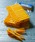 GORDON MILLERiS[h~[j́uGORDON MILLERiS[h~[jNbv 24s[XZbgih[ObYjvbCG[
