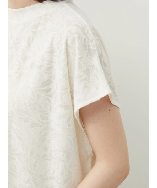 Green　Parks（グリーンパークス）の「シアージャガードTシャツ（シャツ/ブラウス・レディース・ブラック/オフホワイト/ブルーグリーン・FREE）」の14枚目の写真