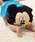Disney�i�f�B�Y�j�[�j�́u�f�B�Y�j�[ �L�����N�^�[�x�r�[�u���} 7909�i���̑��x�r�[�E�F�A�j�v�b�u���b�N×���b�h