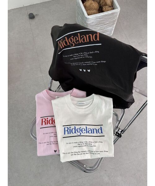 CALNAMUR（カルナムール）の「メッセージロゴTシャツ（Tシャツ/カットソー・レディース・ブラック/ホワイト/ピンク・FREE）」の13枚目の写真