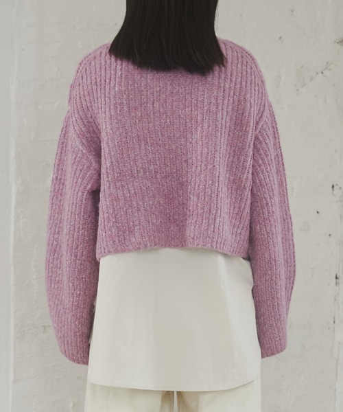 hunch（ハンチ）の「【WEB限定/別注】ジャガードショートニット（ニット/セーター・レディース・ブルー系その他/グレー系その他/ピンク系その他・FREE）」の12枚目の写真