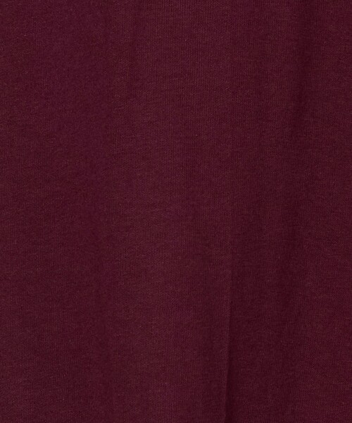Steven Alan（スティーブンアラン）の「＜LIFEWEAR＞ 5.5oz SSL TEE/Tシャツ（Tシャツ/カットソー・メンズ・ワイン/ダークグリーン/パープル・L/XL）」の10枚目の写真