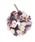 ̑ZNgi\m^ZNgj́ui` [X MTCYiCeAG݁jvbp[vn1