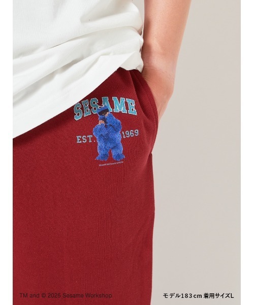 SESAME STREET(セサミストリート)の「【UNISEX】カレッジロゴ 裏毛ロングパンツ(その他パンツ・レディース・バーガンディー/グレー・M/L)」の7枚目の写真