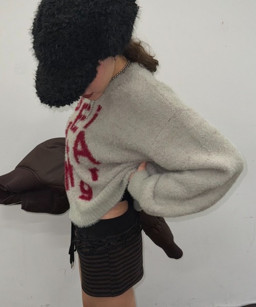 SHAGGIE（シャギー）の「ロゴ入りフェザーヤーンソフトタッチニット（ニット/セーター・レディース・ブラウン/ライトグレー/ホワイト・FREE）」の16枚目の写真