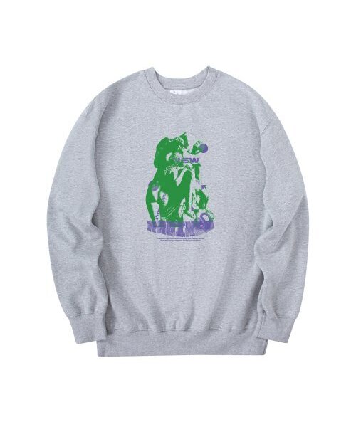 RADINEO(ラディネオ)の「プロメテウス スウェット グレー(スウェット・メンズ・その他・LARGE/MEDIUM/X-LARGE)」の1枚目の写真