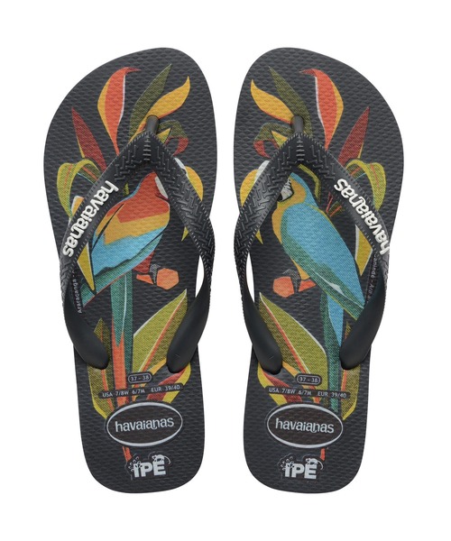 havaianas(ハワイアナス)の「IPE(サンダル・レディース・グレー系/ライトグリーン・25.5cm/24.5cm/23cm)」の2枚目の写真