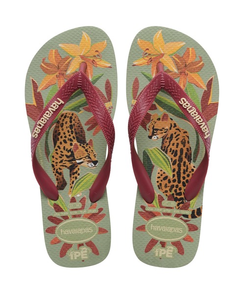havaianas(ハワイアナス)の「IPE(サンダル・レディース・グレー系/ライトグリーン・25.5cm/24.5cm/23cm)」の1枚目の写真