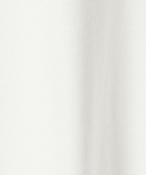 A DAY IN THE LIFE UNITED ARROWS(アデイインザライフユナイテッドアローズ)の「Vネック フレンチスリーブTシャツ <A DAY IN THE LIFE>(Tシャツ/カットソー・レディース・ホワイト/その他1/ブラック/ライトピンク・FREE)」の17枚目の写真