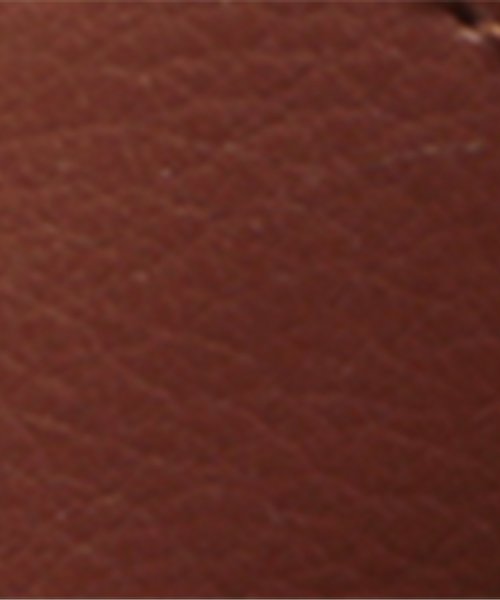 Ampersand（アンパサンド）の「ベビーダブルベルトサンダル（サンダル・キッズ・シルバー/ブラウン/オフホワイト・13.5/14.5/13/14/15 ）」の4枚目の写真