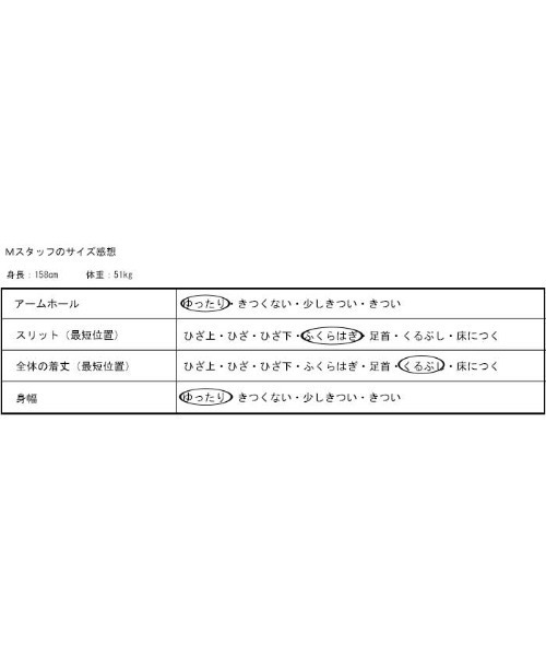 antiqua(アンティカ)の「CPOロングワンピ(ワンピース・レディース・オフホワイト/ブラック/モカ・FREE)」の4枚目の写真