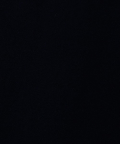 POLO RALPH LAUREN（ポロ ラルフ ローレン）の「ポロ ラルフローレン クルーポケット Ｔシャツ（Tシャツ/カットソー・メンズ・ホワイト/ブラック/ネイビー/レッド・SMALL/MEDIUM/LARGE）」の12枚目の写真