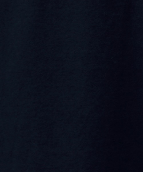 POLO RALPH LAUREN（ポロ ラルフ ローレン）の「ポロ ラルフローレン クルーポケット Ｔシャツ（Tシャツ/カットソー・メンズ・ホワイト/ブラック/ネイビー/レッド・SMALL/MEDIUM/LARGE）」の8枚目の写真