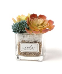 フェイクグリーン(カラー多肉植物)